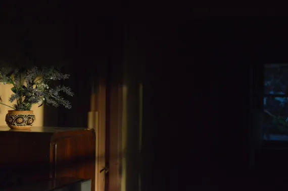 ترادا كازينو الدعم